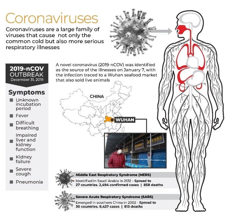 At least 17 people have died from a new coronavirus