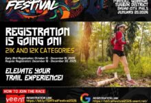 TDR Trail Festival 2026